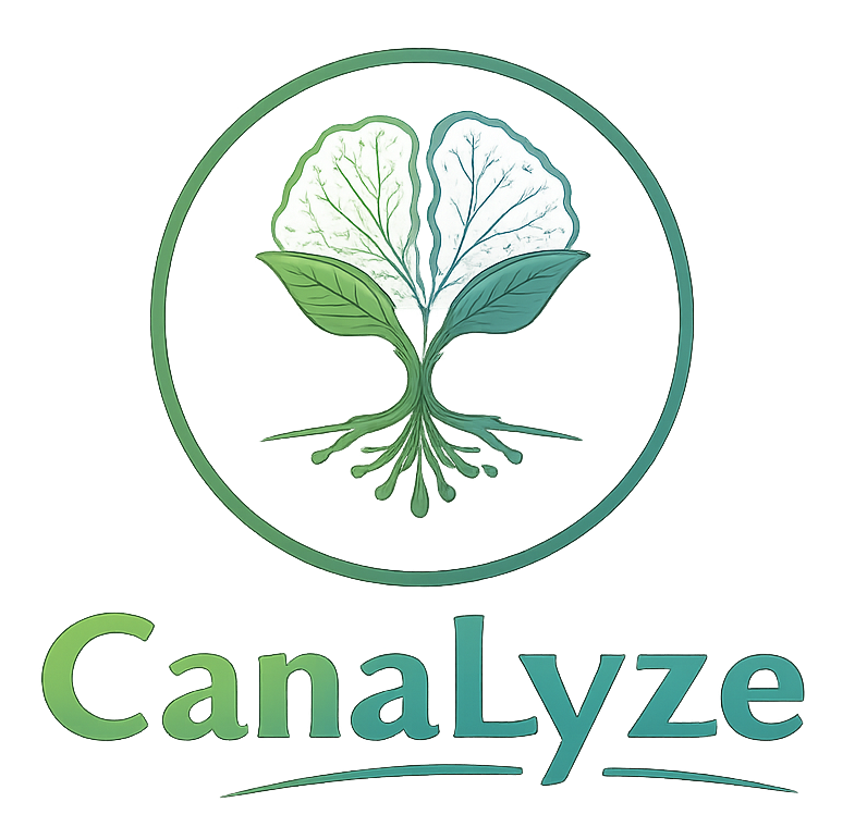 CanaLyze - Plataforma de análise de canaviais